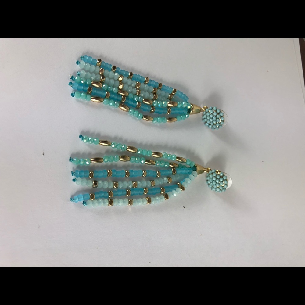 Beaded Tassel Drop Earrings. - Picture 2 of 3